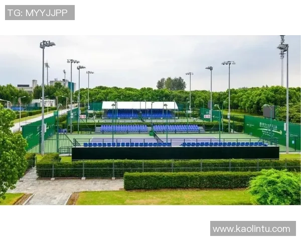 北京网球队的管理模式与发展策略深度解析